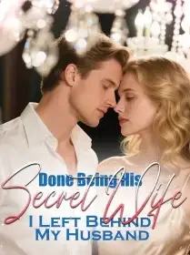 Done Being His Secret Wife, I Left Behind My Husband Novel Cover