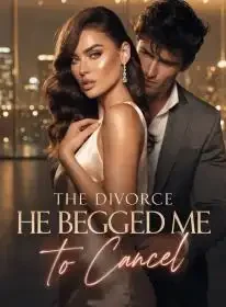 The Divorce He Begged Me to Cancel Novel Cover