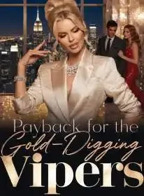 Payback for the Gold-Digging Vipers Novel Cover