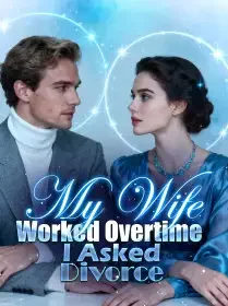 My Wife Worked Overtime, I Asked Divorce Novel Cover