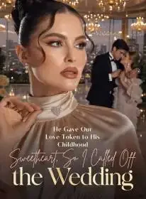He Gave Our Love Token to His Childhood Sweetheart, So I Called Off the Wedding Novel Cover