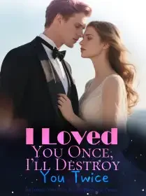 I Loved You Once, I’ll Destroy You Twice Novel Cover