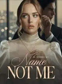 He Needed My Name, Not Me Novel Cover