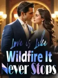 Love is Like Wildfire, It Never Stops Novel Cover