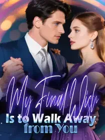 My Final Wish Is to Walk Away from You Novel Cover