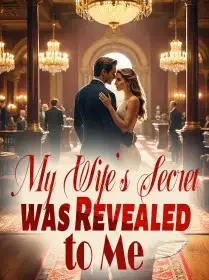 My Wife's Secret was Revealed to Me Novel Cover