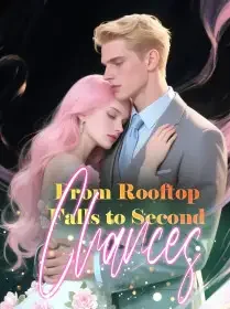 From Rooftop Falls to Second Chances Novel Cover