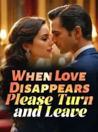 When Love Disappears, Please Turn and Leave Novel Cover