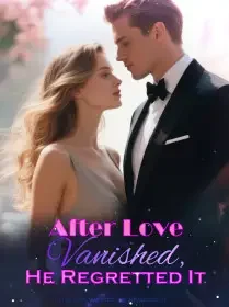 After Love Vanished, He Regretted It Novel Cover