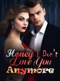Honey, I Don't Love You Anymore！ Novel Cover