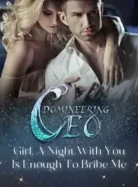 Domineering CEO: Girl, A Night With You Is Enough To Bribe Me Novel Cover