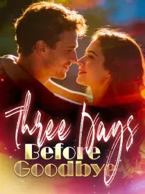 Three Days Before Goodbye Novel Cover