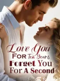 Love You For Ten Years, Forget You For A Second Novel Cover