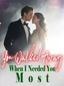 You Walked Away When I Needed You Most Novel Cover