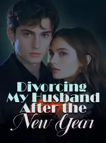 Divorcing My Husband After the New Year Novel Cover