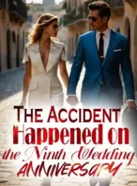 The Accident Happened on the Ninth Wedding Anniversary Novel Cover