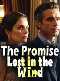 The Promise Lost in the Wind Novel Cover