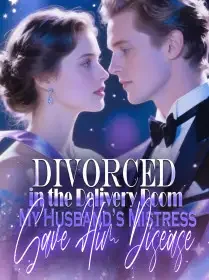 Divorced in the Delivery Room,My Husband’s Mistress Gave Him Disease Novel Cover