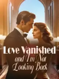Love Vanished, and I'm Not Looking Back Novel Cover