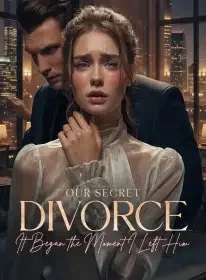 Our Secret Divorce: It Began the Moment I Left Him Novel Cover