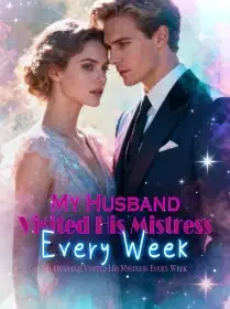 My Husband Visited His Mistress Every Week Novel Cover