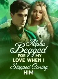 Alpha Begged for My Love When I Stopped Caring Him Novel Cover