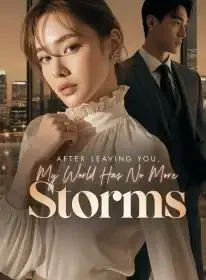 After Leaving You, My World Has No More Storms Novel Cover