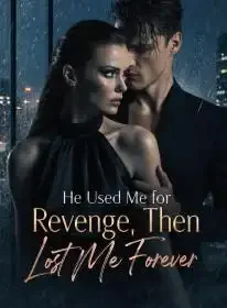 He Used Me for Revenge, Then Lost Me Forever Novel Cover