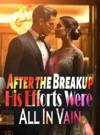 After the Breakup, His Efforts Were All In Vain Novel Cover