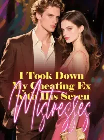 I Took Down My Cheating Ex with His Seven Mistresses Novel Cover