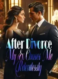 After Divorce, My Ex Chases Me Relentlessly Novel Cover