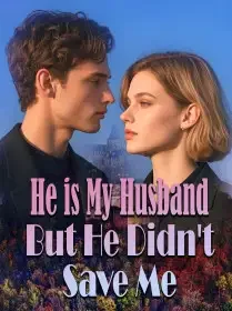 He is My Husband But He Didn't Save Me Novel Cover