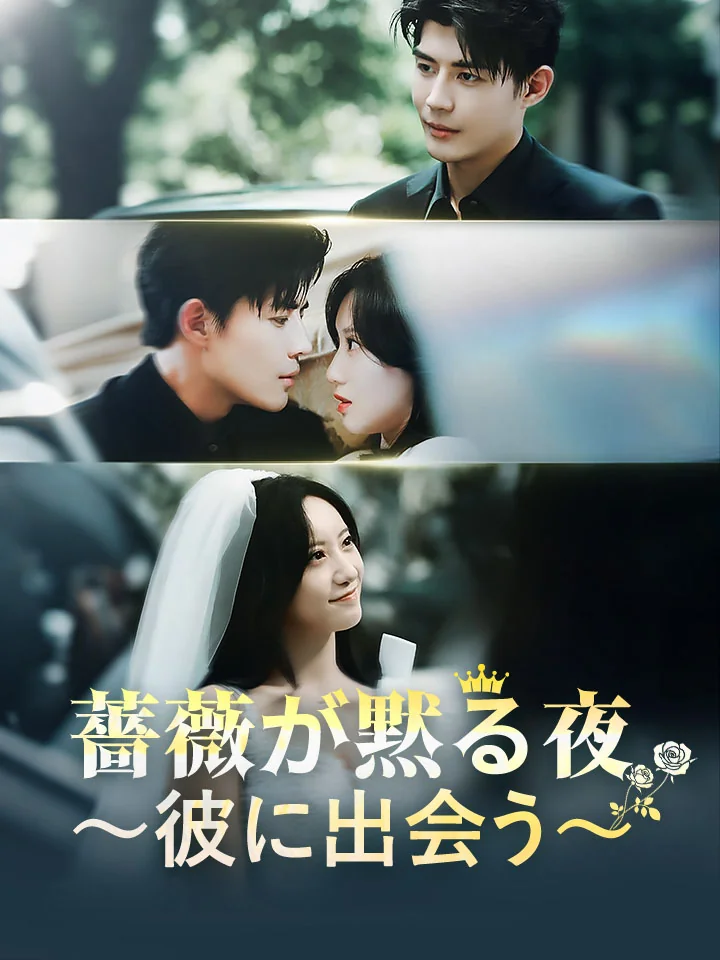 薔薇が黙る夜~彼に出会う~ミニシリーズ