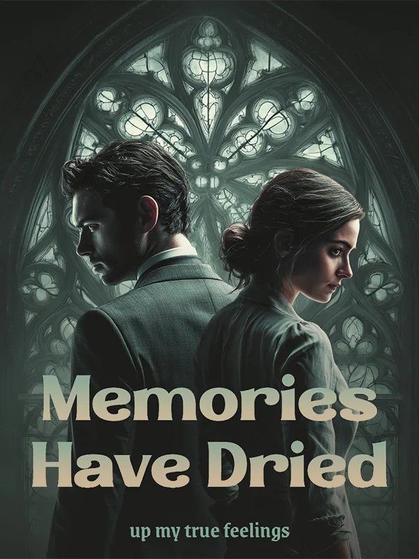 Memories have dried up my true feelings Novel Cover