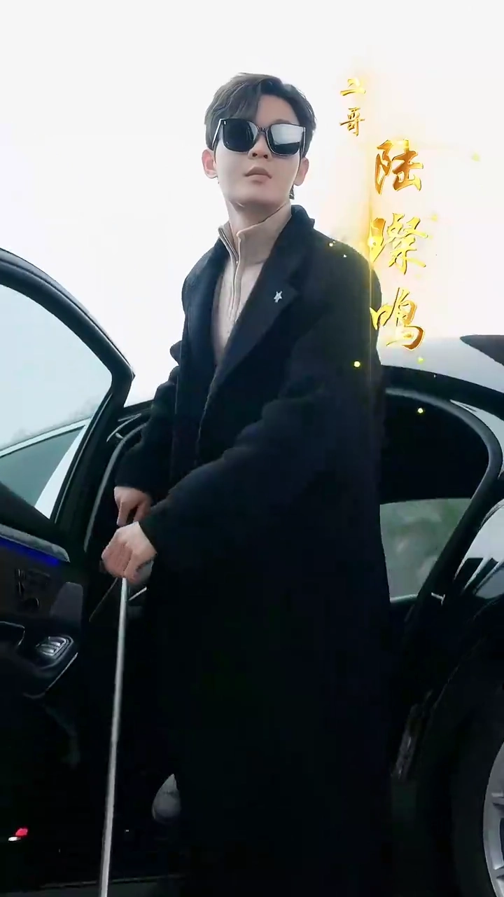 忘れられた月写真