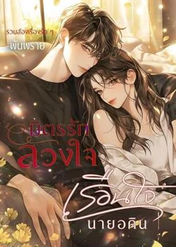 หน้าปกนวนิยาย มิตรรักลวงใจ X เรือนใจนายอคิน