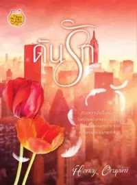 หน้าปกนวนิยาย ดันรัก