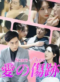 愛の傷跡ショートドラマ