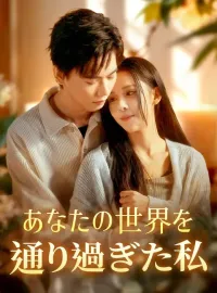 あなたの世界を通り過ぎた私ミニシリーズ