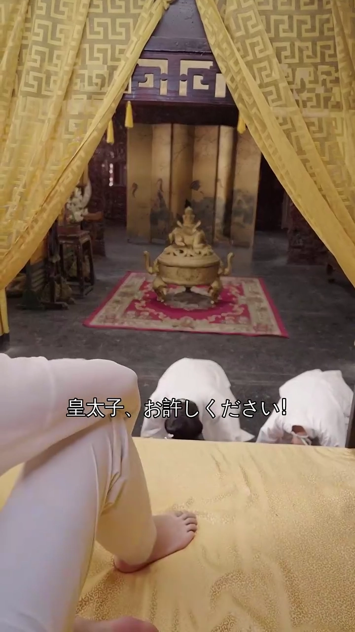 皇太子の反撃写真