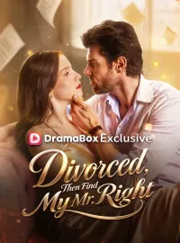Divorced, Then Find My Mr. RightMini Series