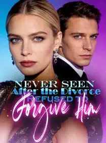 Never Seen After the Divorce:I Refused to Forgive Him Novel Cover