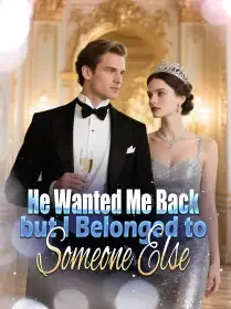 He Wanted Me Back, but I Belonged to Someone Else Novel Cover