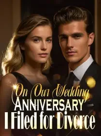 On Our Wedding Anniversary, I Filed for Divorce! Novel Cover