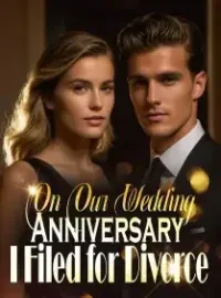On Our Wedding Anniversary, I Filed for Divorce! Novel Cover
