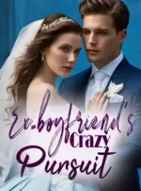 Ex-boyfriend's Crazy Pursuit Novel Cover