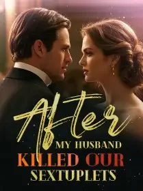 After My Husband Killed Our Sextuplets Novel Cover