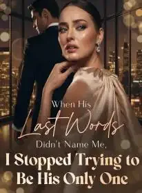 When His Last Words Didn’t Name Me, I Stopped Trying to Be His Only One Novel Cover