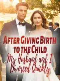 After Giving Birth to the Child, My Husband and I Divorced Quickly Novel Cover