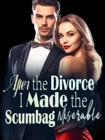 After the Divorce, I Made the Scumbag Miserable Novel Cover